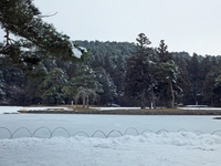 Medium_庭園 (3)
